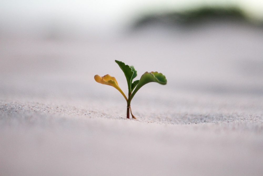 Från klimatstrategi till konkreta åtgärder – med innovationsmetodik